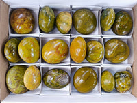 Polished Green Opal Palm Stones x 18 From Madagascar - Toprock Gemstones and Minerals 