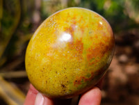 Polished Green Opal Palm Stones x 18 From Madagascar - Toprock Gemstones and Minerals 