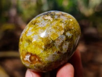 Polished Green Opal Palm Stones x 18 From Madagascar - Toprock Gemstones and Minerals 