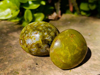Polished Green Opal Palm Stones x 18 From Madagascar - Toprock Gemstones and Minerals 