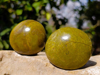 Polished Green Opal Palm Stones x 18 From Madagascar - Toprock Gemstones and Minerals 