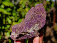 Natural Metallic Purpurite Cobbed Specimens x 9 From Erongo, Namibia - Toprock Gemstones and Minerals 
