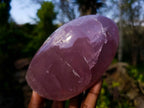 Polished Rose Quartz Standing Free Forms x 2 From Madagascar - Toprock Gemstones and Minerals 