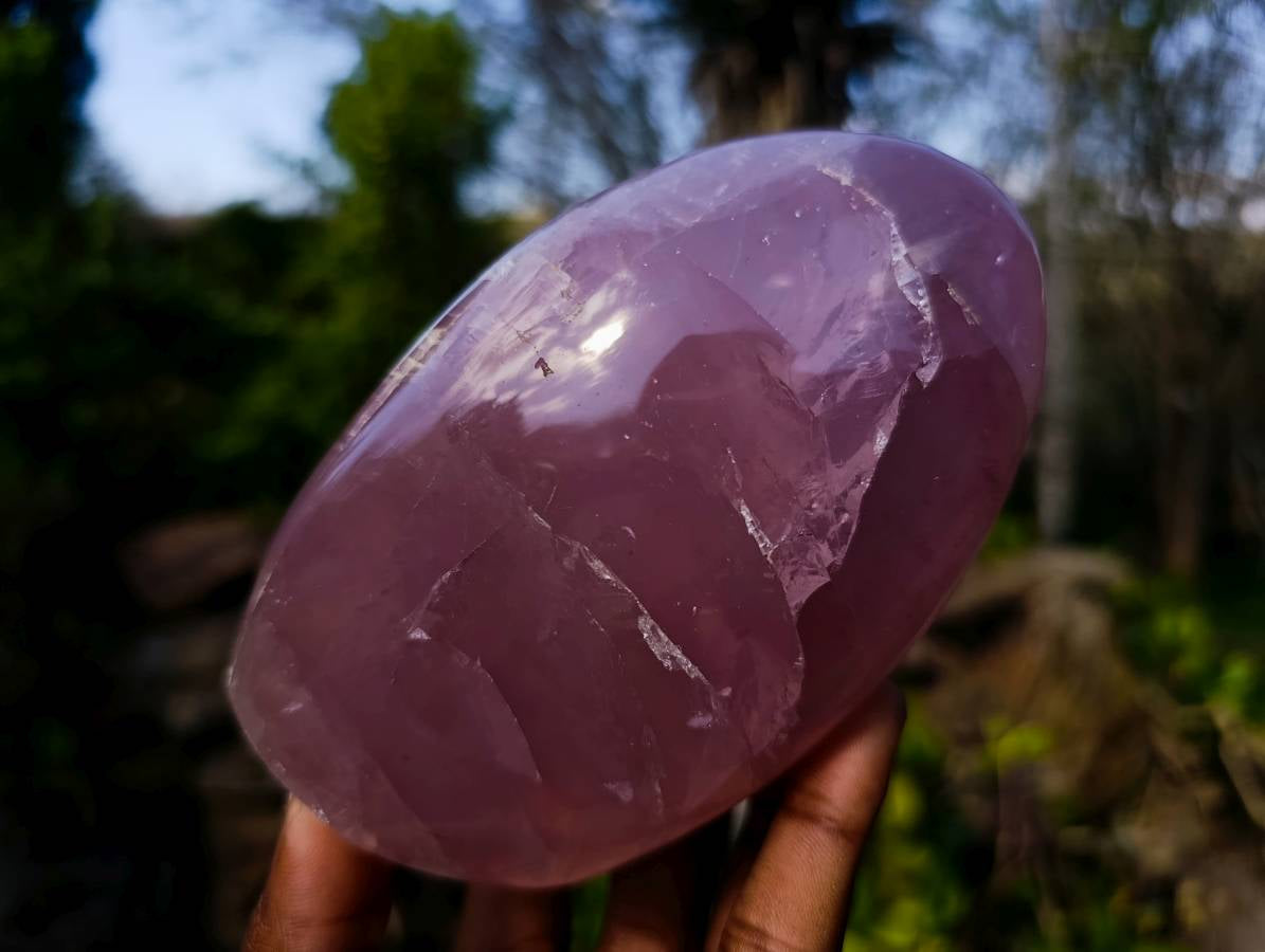 Polished Rose Quartz Standing Free Forms x 2 From Madagascar - Toprock Gemstones and Minerals 