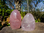 Polished Rose Quartz Standing Free Forms x 2 From Madagascar - Toprock Gemstones and Minerals 