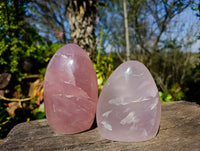 Polished Rose Quartz Standing Free Forms x 2 From Madagascar - Toprock Gemstones and Minerals 