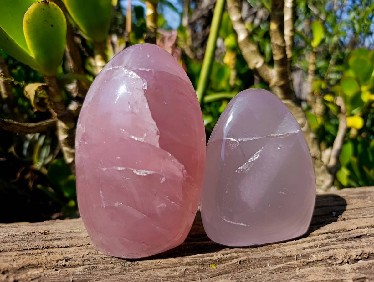 Polished Rose Quartz Standing Free Forms x 2 From Madagascar - Toprock Gemstones and Minerals 