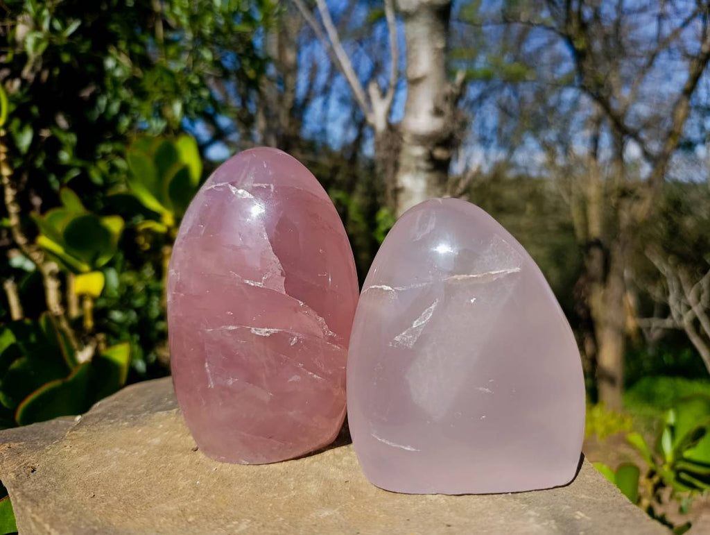 Polished Rose Quartz Standing Free Forms x 2 From Madagascar - Toprock Gemstones and Minerals 