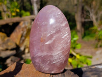 Polished Rose Quartz Standing Free Forms x 2 From Madagascar - Toprock Gemstones and Minerals 