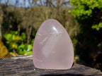 Polished Rose Quartz Standing Free Forms x 2 From Madagascar - Toprock Gemstones and Minerals 