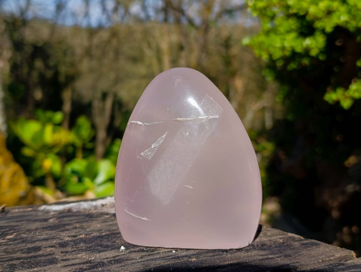 Polished Rose Quartz Standing Free Forms x 2 From Madagascar - Toprock Gemstones and Minerals 