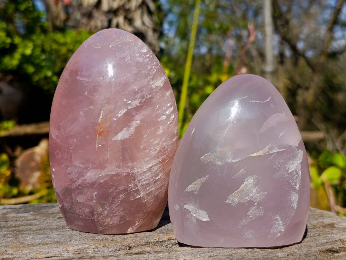 Polished Rose Quartz Standing Free Forms x 2 From Madagascar - Toprock Gemstones and Minerals 