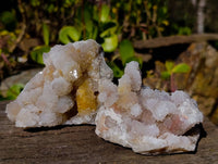 Natural Spirit Quartz Clusters x 4 From South Africa