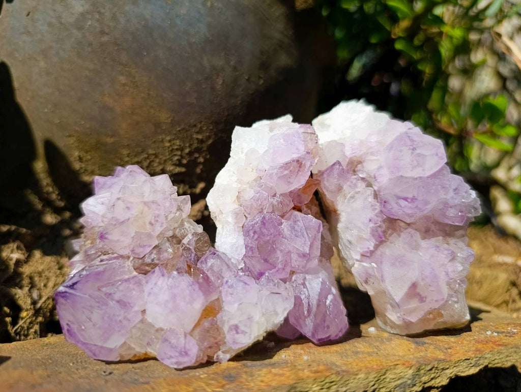 Natural Amethyst Spirit Quartz Clusters x 12 From South Africa - Toprock Gemstones and Minerals 
