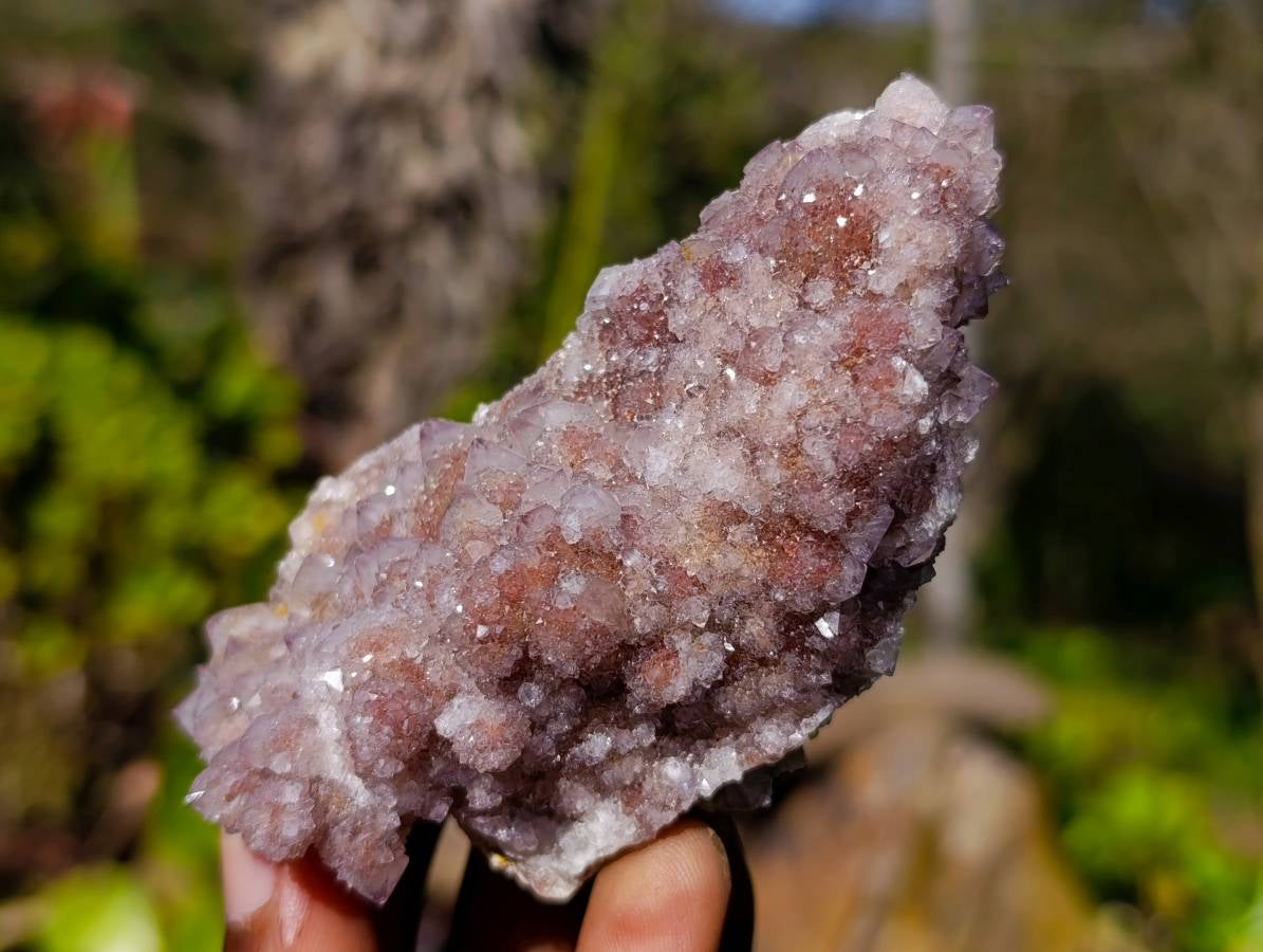 Natural Amethyst Spirit Quartz Clusters x 12 From South Africa - Toprock Gemstones and Minerals 
