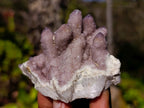 Natural Amethyst Spirit Quartz Clusters x 12 From South Africa - Toprock Gemstones and Minerals 