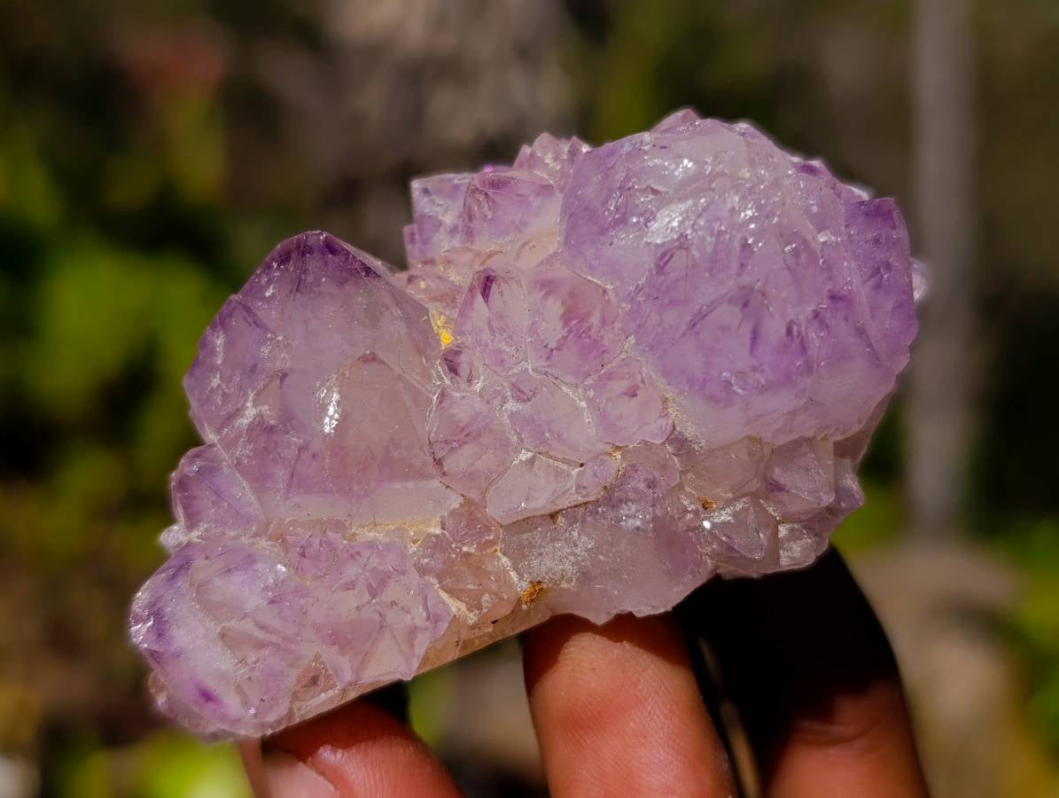 Natural Amethyst Spirit Quartz Clusters x 12 From South Africa - Toprock Gemstones and Minerals 