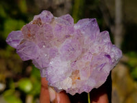 Natural Amethyst Spirit Quartz Clusters x 12 From South Africa