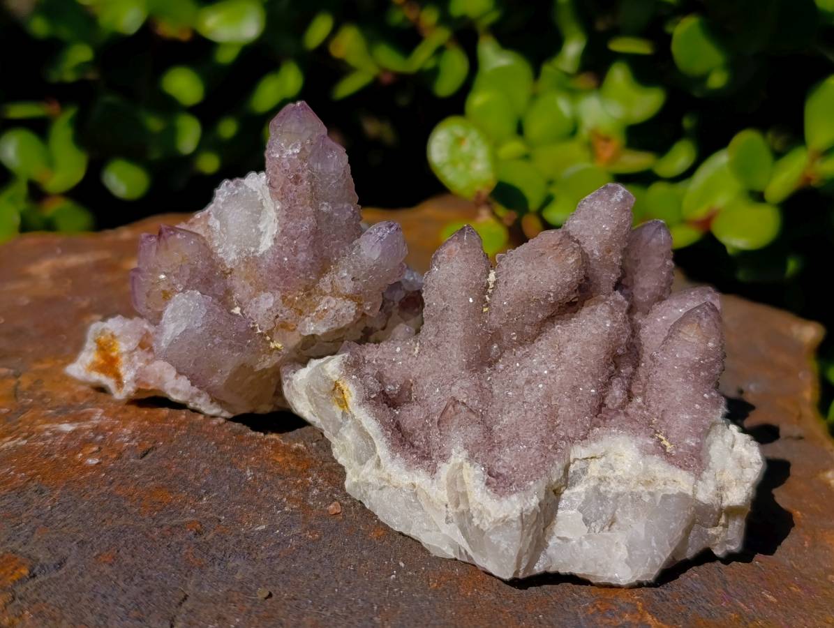 Natural Amethyst Spirit Quartz Clusters x 12 From South Africa - Toprock Gemstones and Minerals 