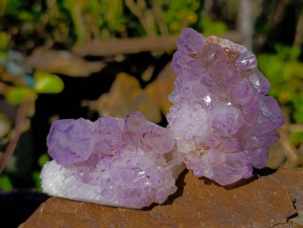 Natural Amethyst Spirit Quartz Clusters x 12 From South Africa - Toprock Gemstones and Minerals 
