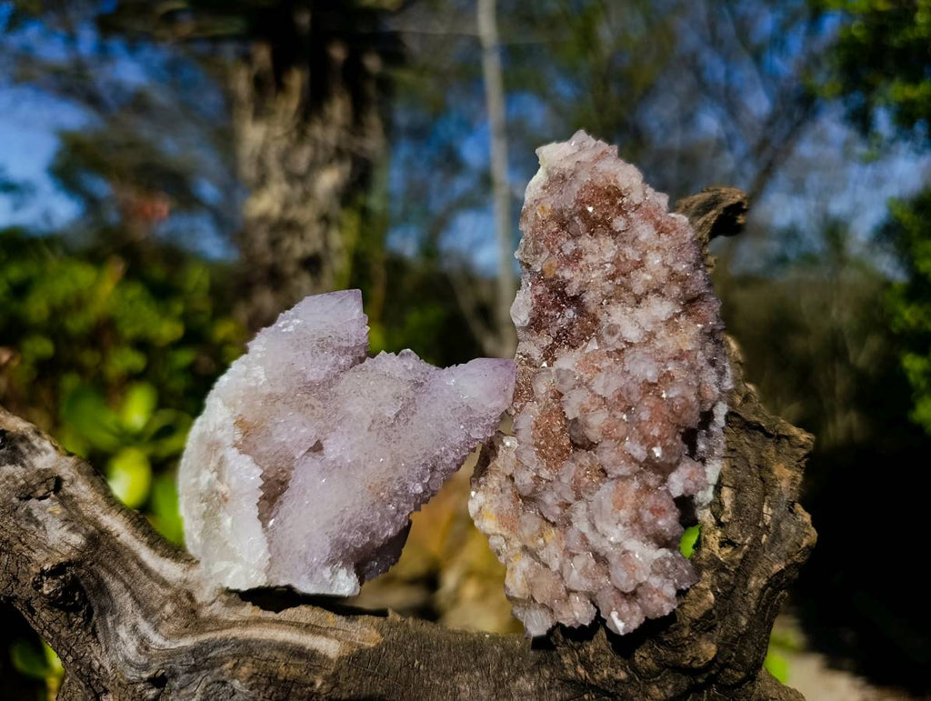 Natural Amethyst Spirit Quartz Clusters x 12 From South Africa - Toprock Gemstones and Minerals 
