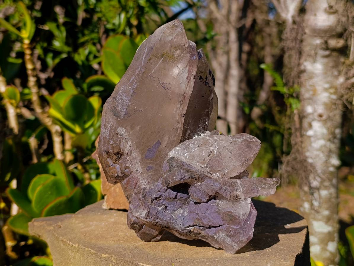 Natural Smokey Quartz Floater Crystal Specimens x 2 From Mulanje, Malawi - Toprock Gemstones and Minerals 