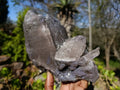 Natural Smokey Quartz Floater Crystal Specimens x 2 From Mulanje, Malawi - Toprock Gemstones and Minerals 