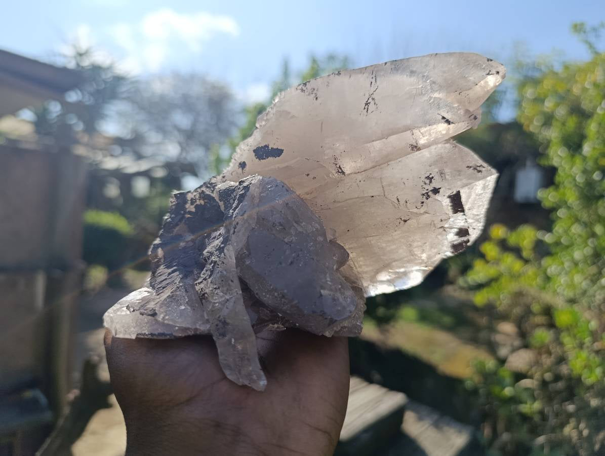 Natural Smokey Quartz Floater Crystal Specimens x 2 From Mulanje, Malawi - Toprock Gemstones and Minerals 
