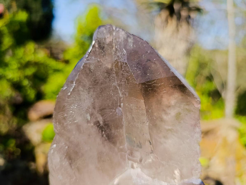 Natural Smokey Quartz Floater Crystal Specimens x 2 From Mulanje, Malawi - Toprock Gemstones and Minerals 