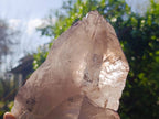 Natural Smokey Quartz Floater Crystal Specimens x 2 From Mulanje, Malawi - Toprock Gemstones and Minerals 