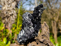 Natural Schorl Black Tourmaline Matrix Specimens x 2 From Namibia - Toprock Gemstones and Minerals 