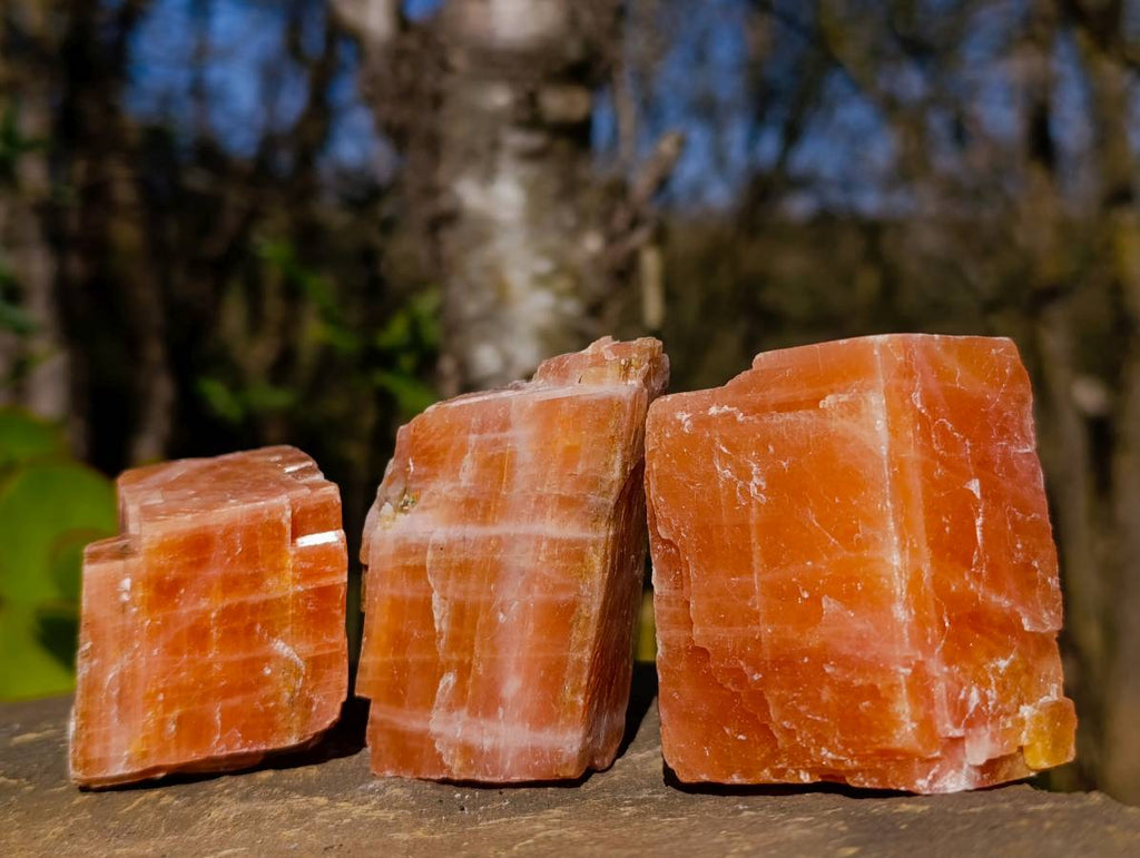 Natural Sunset Orange Calcite Specimens x 24 From Spitzkop, Namibia - Toprock Gemstones and Minerals 