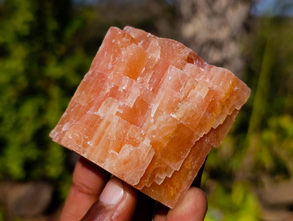 Natural Sunset Orange Calcite Specimens x 24 From Spitzkop, Namibia - Toprock Gemstones and Minerals 