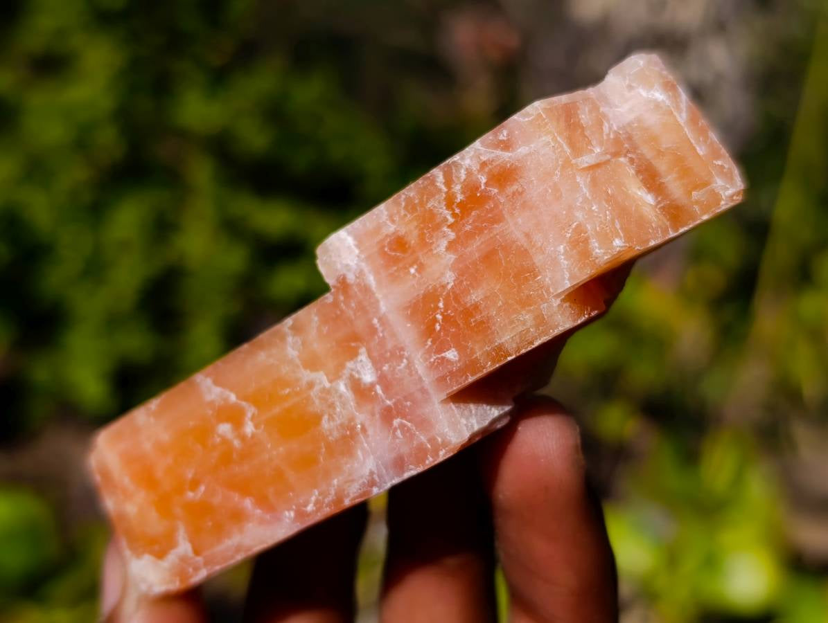 Natural Sunset Orange Calcite Specimens x 24 From Spitzkop, Namibia - Toprock Gemstones and Minerals 