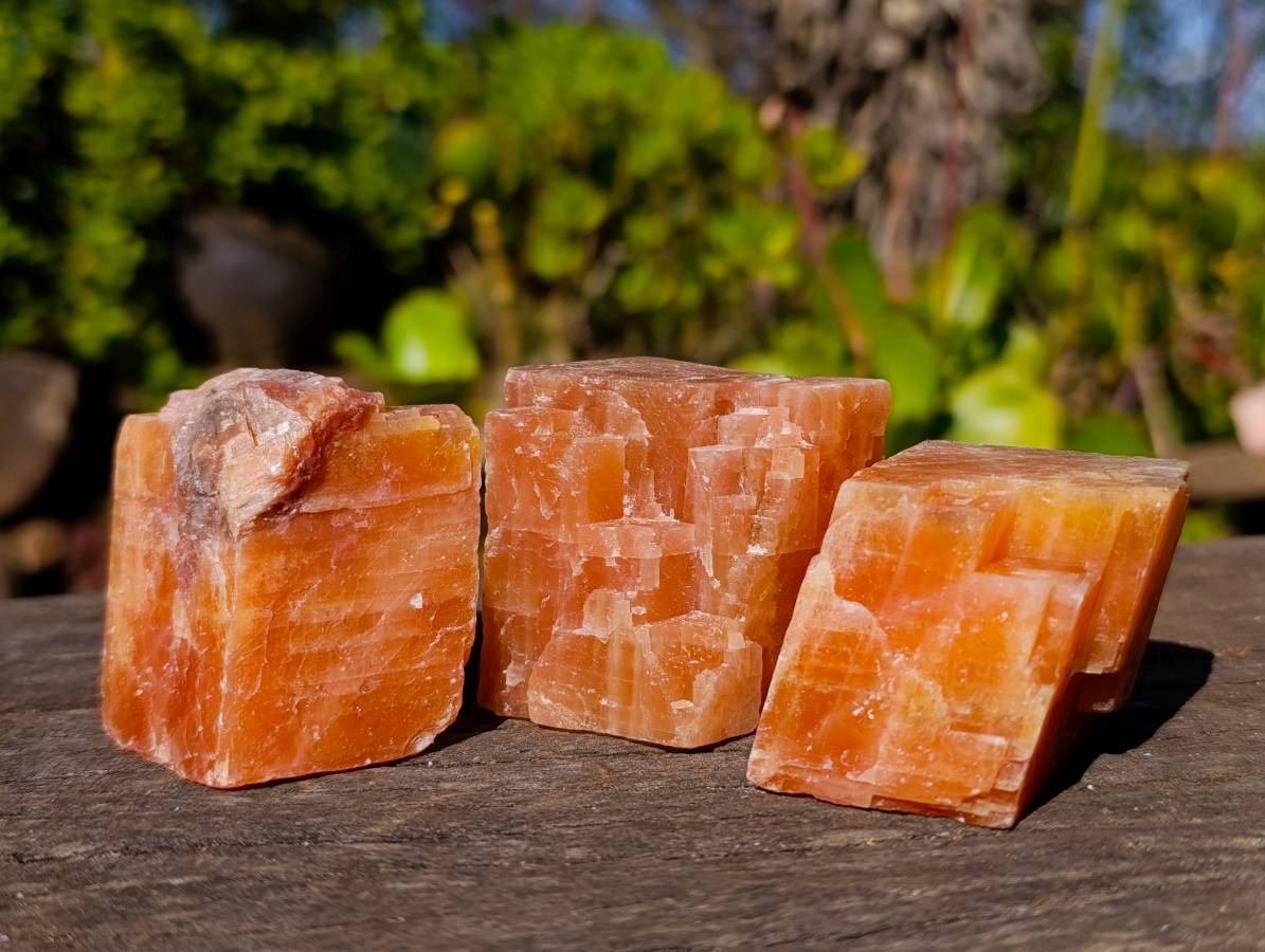 Natural Sunset Orange Calcite Specimens x 24 From Spitzkop, Namibia - Toprock Gemstones and Minerals 