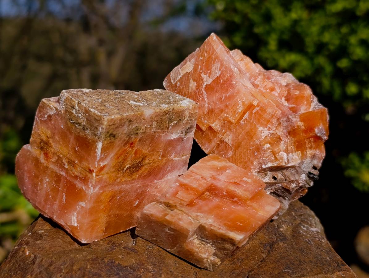 Natural Sunset Orange Calcite Specimens x 24 From Spitzkop, Namibia - Toprock Gemstones and Minerals 
