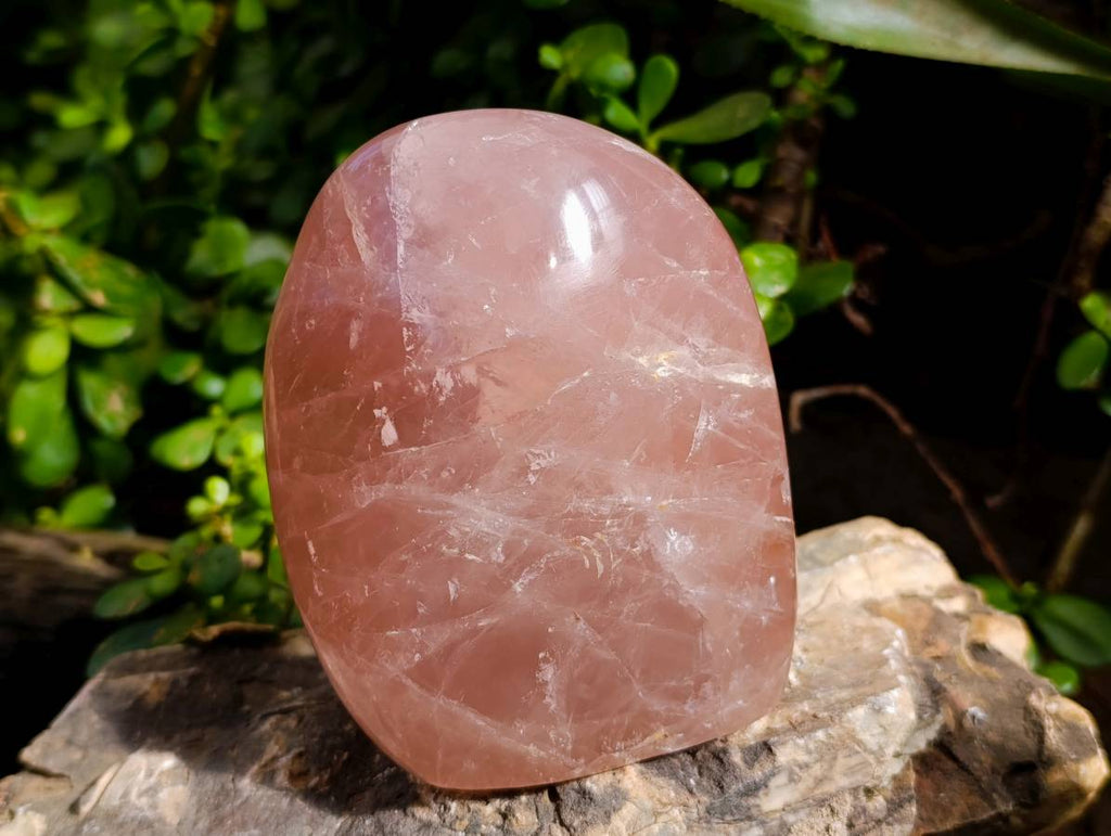 Polished Rose Quartz Standing Free Forms x 2 From Madagascar - Toprock Gemstones and Minerals 