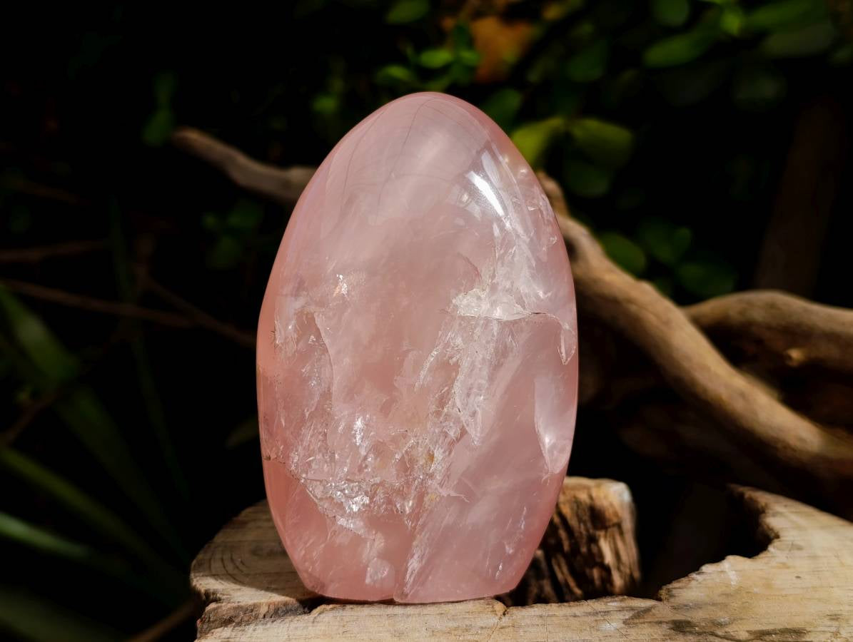 Polished Rose Quartz Standing Free Forms x 2 From Madagascar - Toprock Gemstones and Minerals 