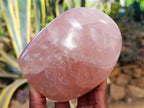 Polished Rose Quartz Standing Free Forms x 2 From Madagascar - Toprock Gemstones and Minerals 