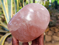 Polished Rose Quartz Standing Free Forms x 2 From Madagascar - Toprock Gemstones and Minerals 