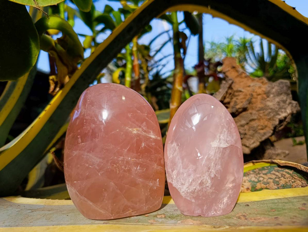 Polished Rose Quartz Standing Free Forms x 2 From Madagascar - Toprock Gemstones and Minerals 