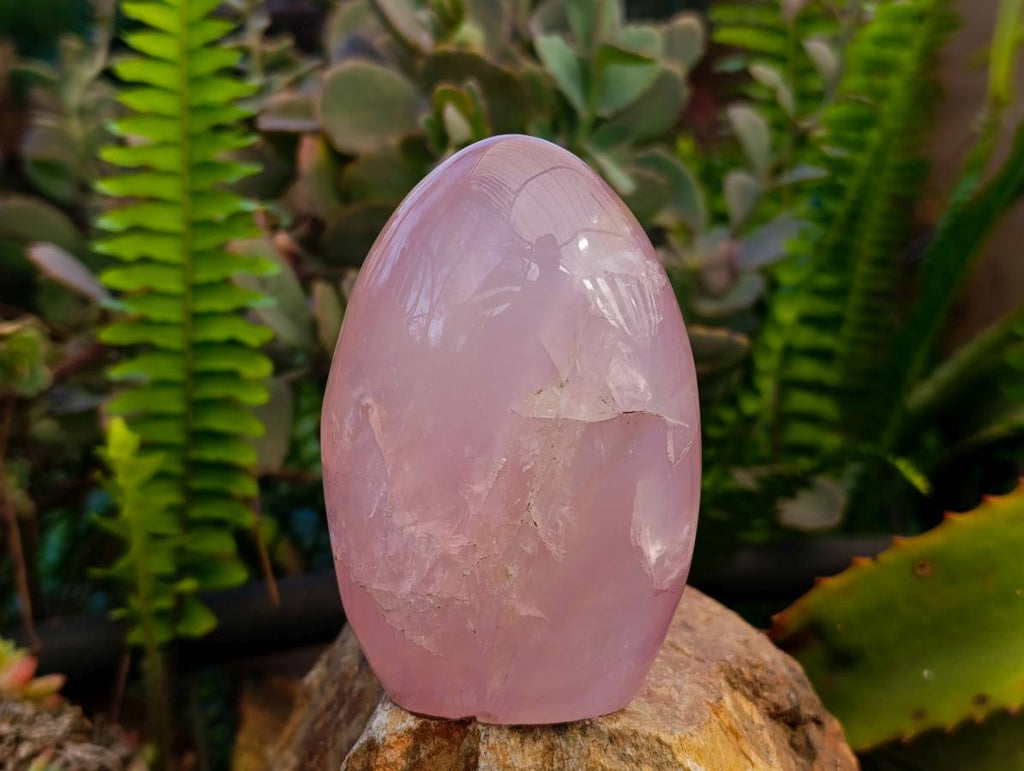 Polished Rose Quartz Standing Free Forms x 2 From Madagascar - Toprock Gemstones and Minerals 