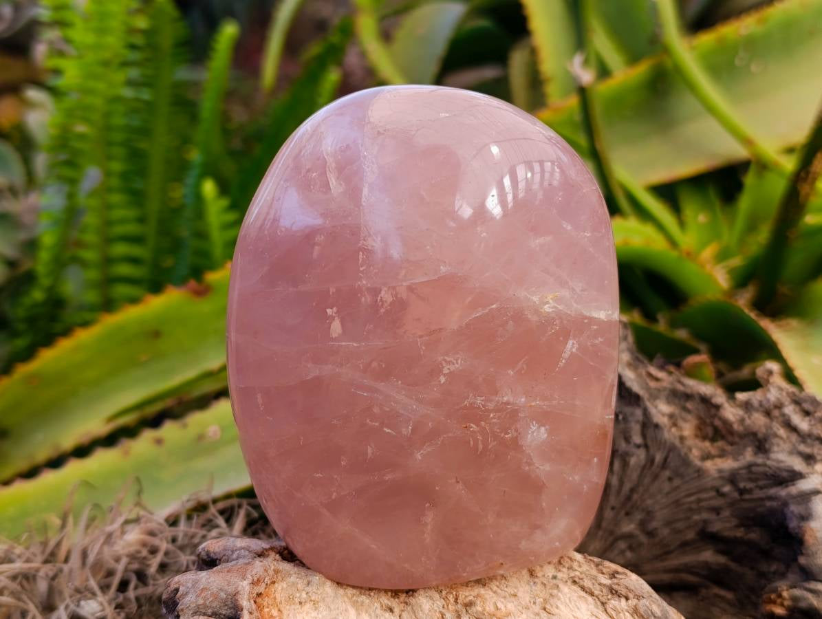 Polished Rose Quartz Standing Free Forms x 2 From Madagascar - Toprock Gemstones and Minerals 