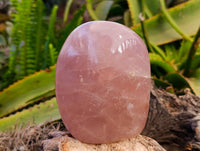 Polished Rose Quartz Standing Free Forms x 2 From Madagascar - Toprock Gemstones and Minerals 