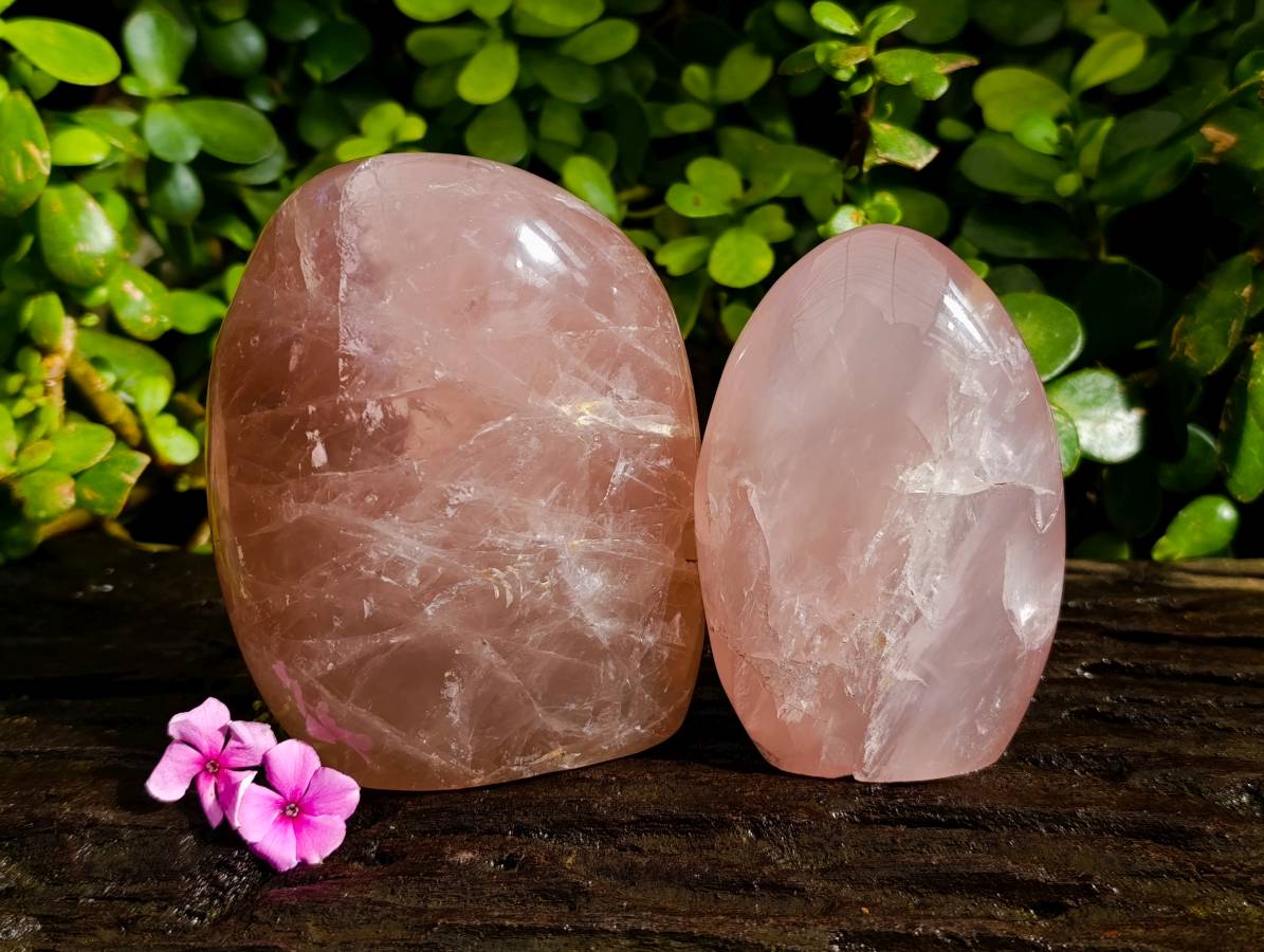 Polished Rose Quartz Standing Free Forms x 2 From Madagascar - Toprock Gemstones and Minerals 