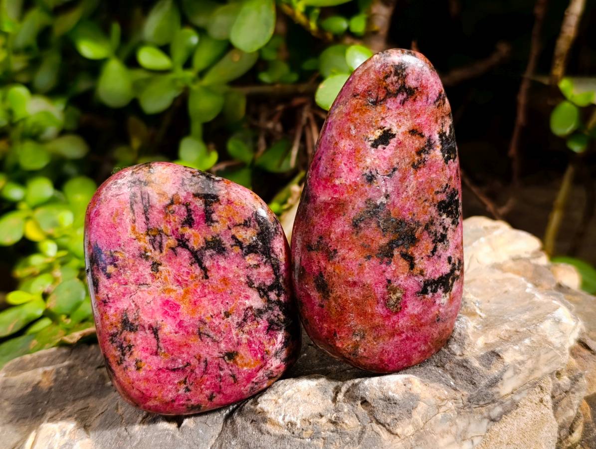 Polished Rhodonite Free Forms x 6 From Rhusinga, Zimbabwe - Toprock Gemstones and Minerals 