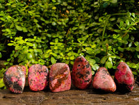 Polished Rhodonite Free Forms x 6 From Rhusinga, Zimbabwe - Toprock Gemstones and Minerals 