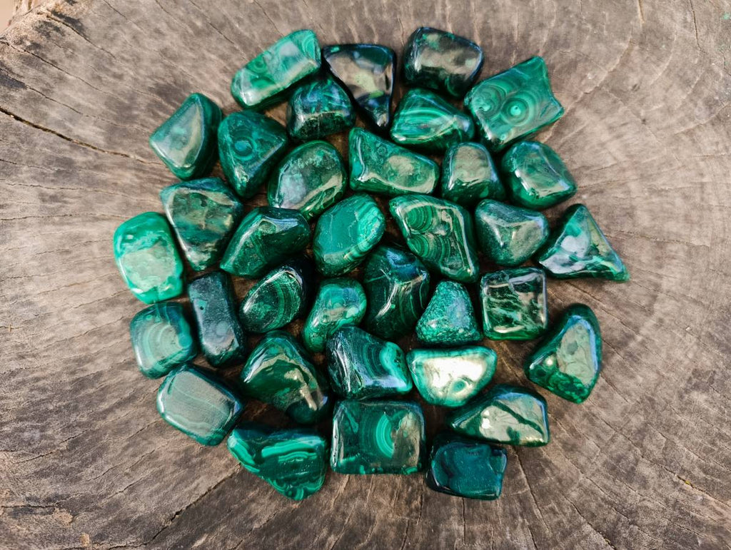 Polished Flower Banded Malachite Free Forms x 35 From Congo - Toprock Gemstones and Minerals 