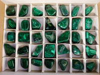 Polished Flower Banded Malachite Free Forms x 35 From Congo - Toprock Gemstones and Minerals 