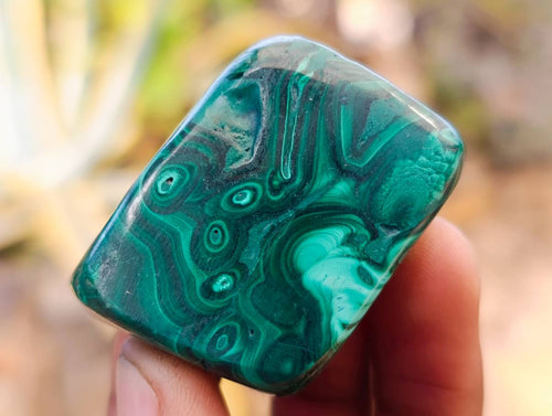 Polished Flower Banded Malachite Free Forms x 35 From Congo - Toprock Gemstones and Minerals 
